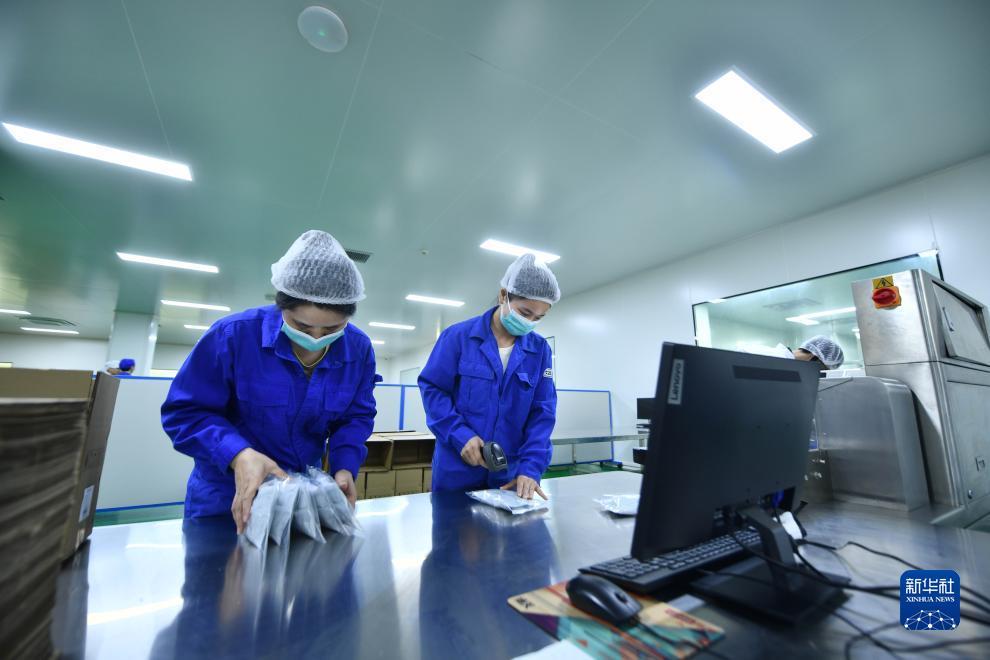 博越网络jiance